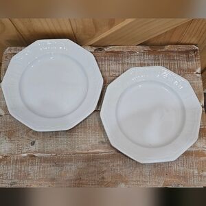 Antique | 1850's T&R Boote "Sydenham" Set Of 2 Ironstone China Dinner Plates